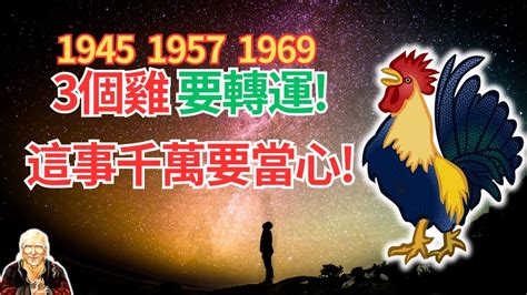 1969年屬雞運勢|【1969 屬雞 運勢】1969屬雞人解密2024年運勢全面解。